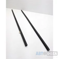 Молдинг скла двері Honda AG (купе L+R пара