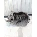 MКПП Коробка перемикання передач Mazda 626 GE FS 2.O б/у