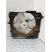 Вентилятор радіатора Mazda 323 BG B6/1.6 (в зборі з дифузором) б/у