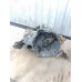 КПП Toyota Toyota Corolla двигун 2E/1.3